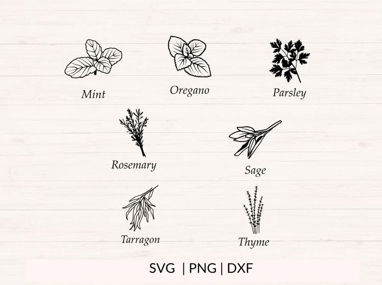 Herbs & Spices svg Bundle